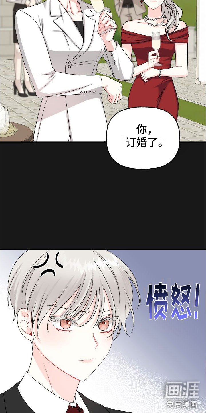 第21章：订婚骗局：初遇