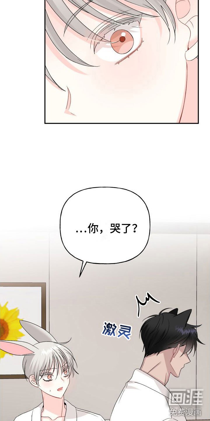 第25章：订婚骗局：你哭了？