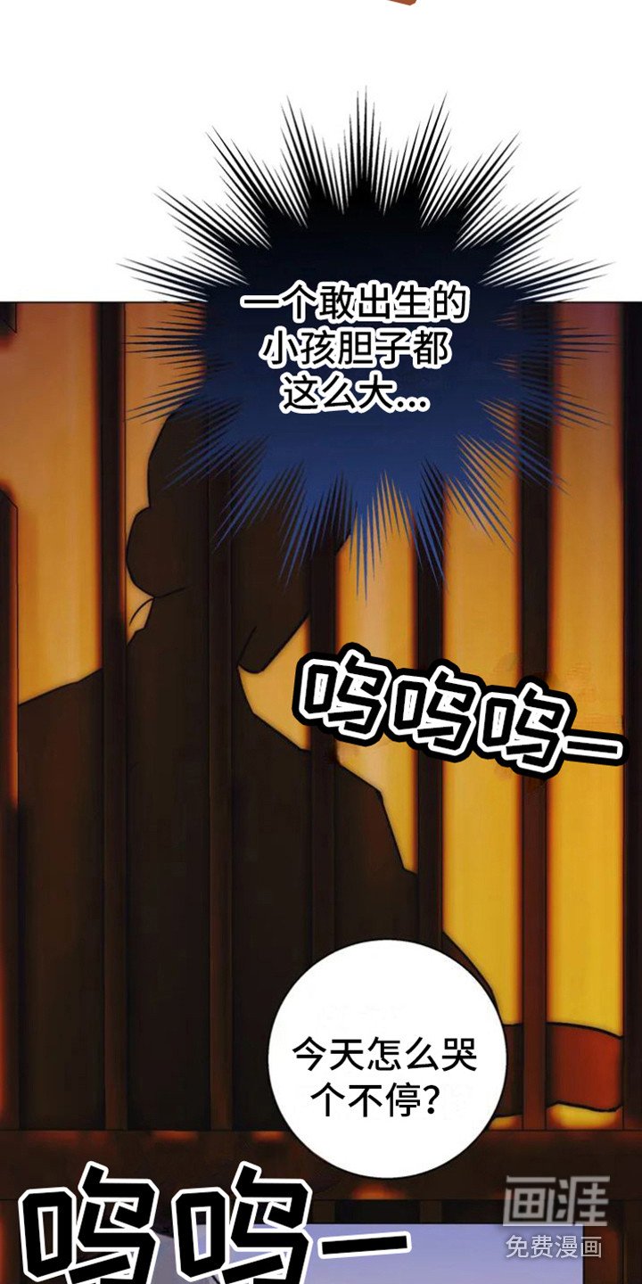 第28章：乱入的老虎：柿饼