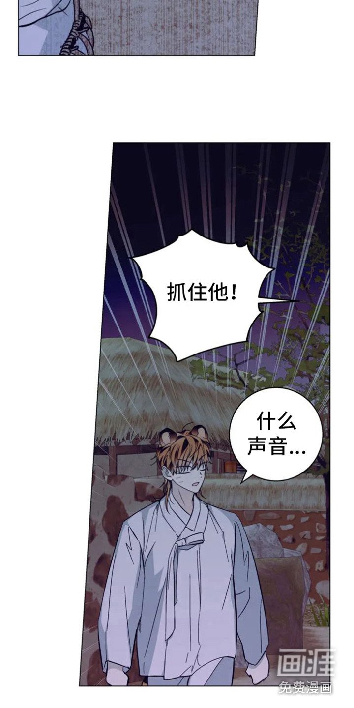 第28章：乱入的老虎：柿饼