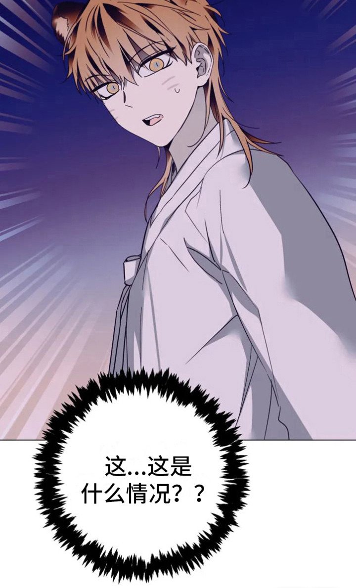 第28章：乱入的老虎：柿饼