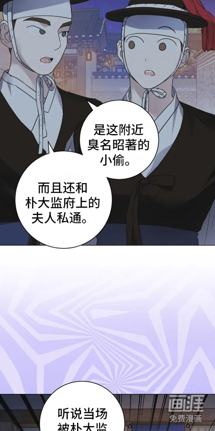 第30章：乱入的老虎：大盗