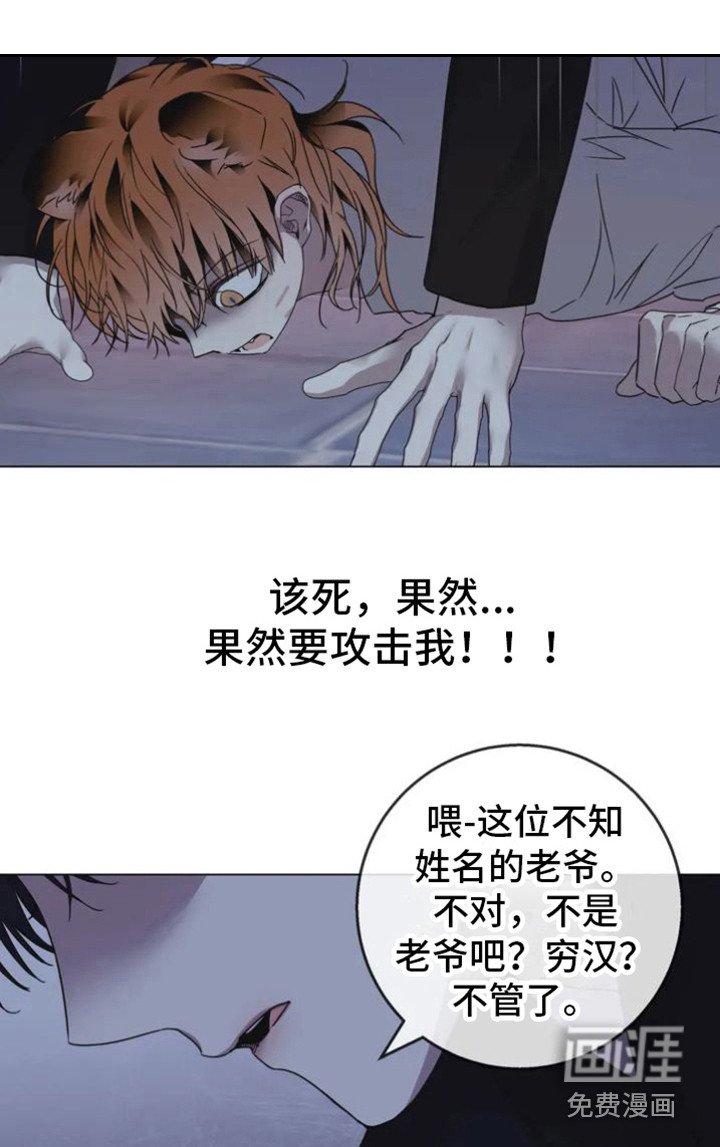 第30章：乱入的老虎：大盗