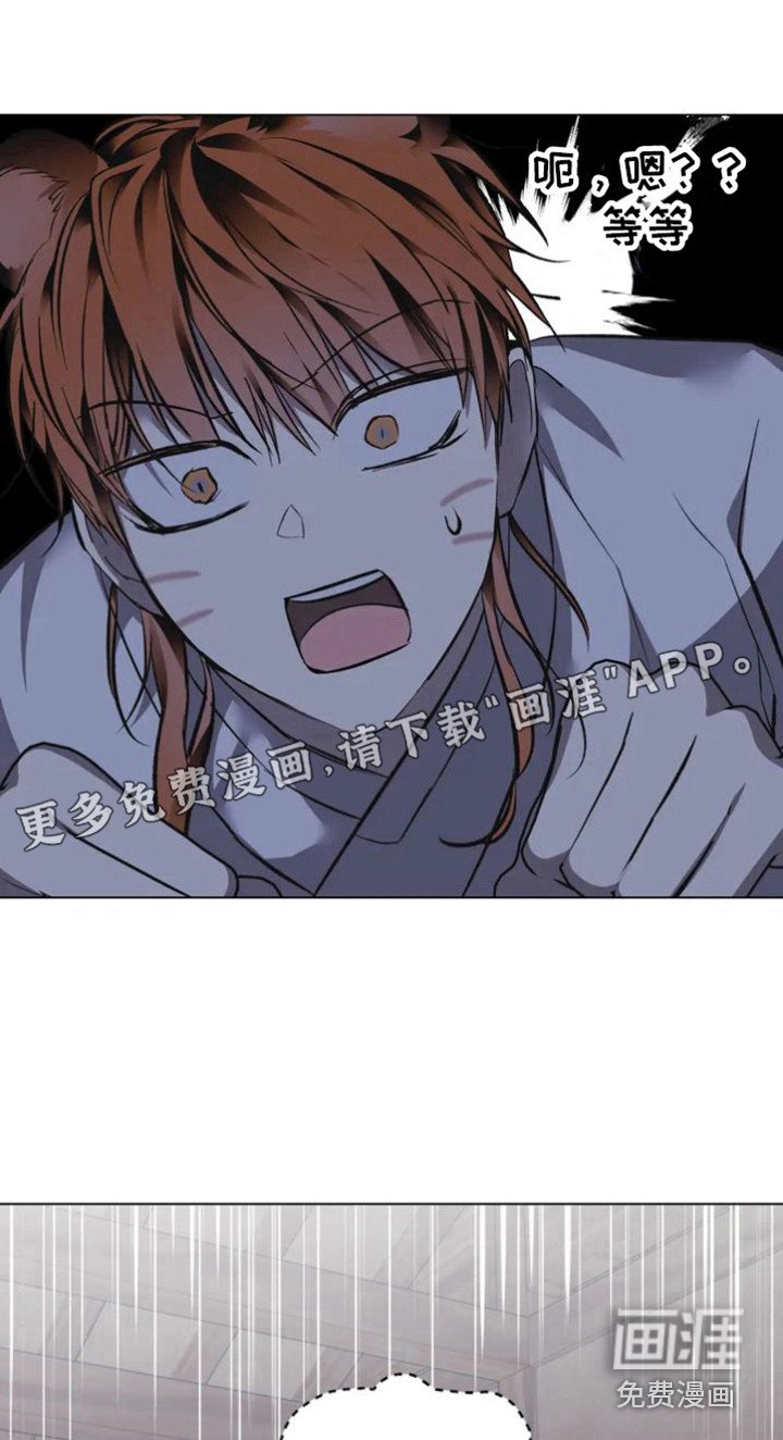 第31章：乱入的老虎：很可怕