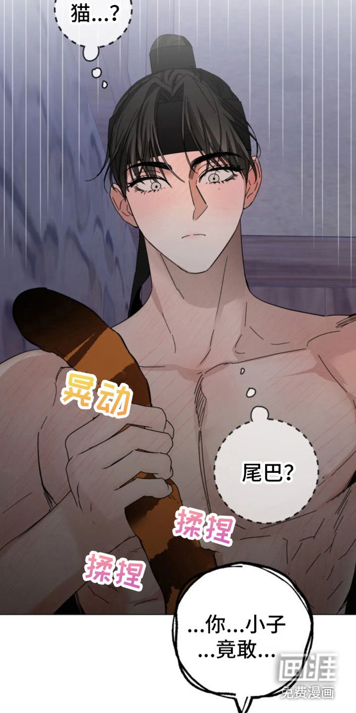 第31章：乱入的老虎：很可怕