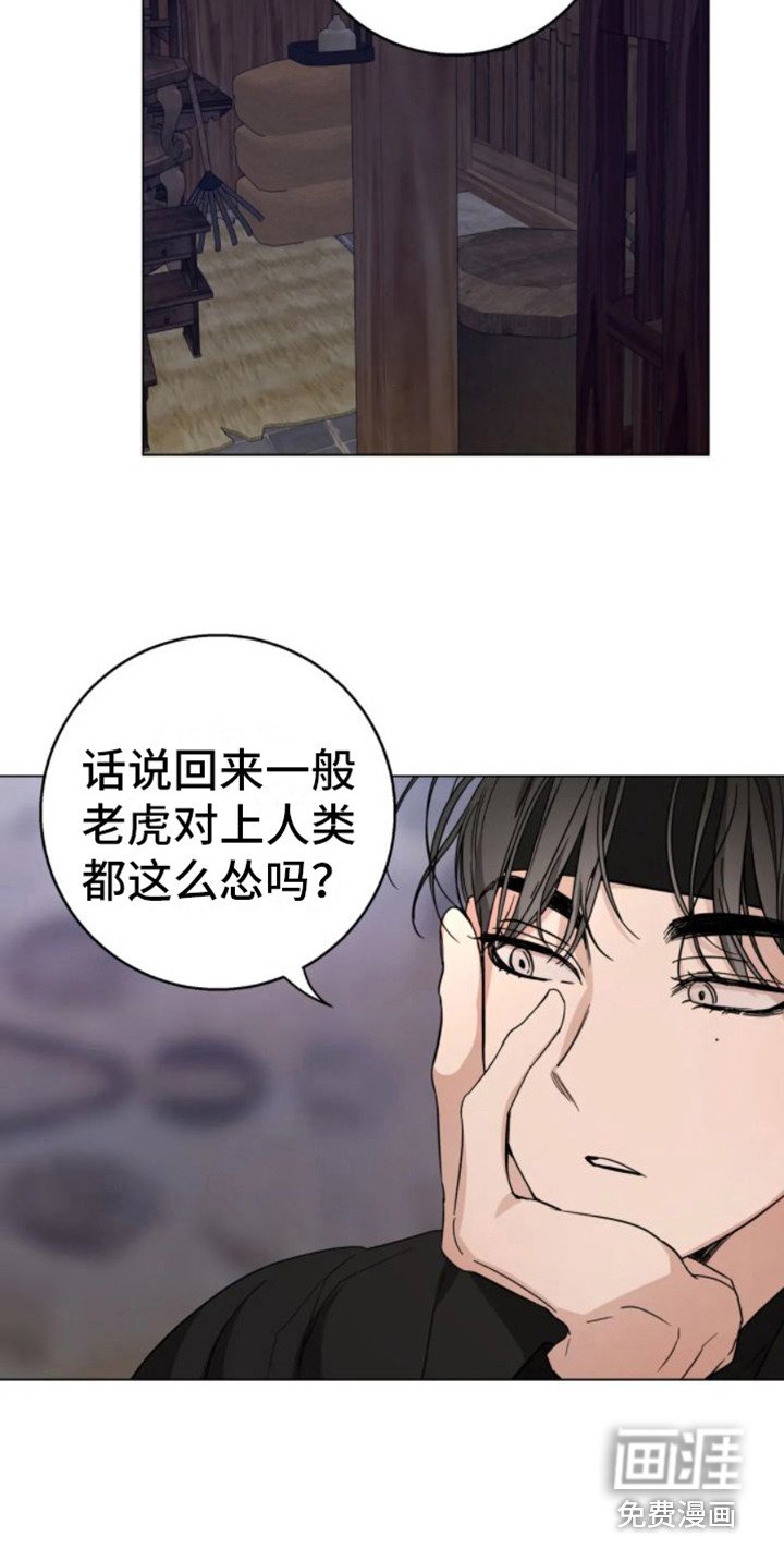 第31章：乱入的老虎：很可怕