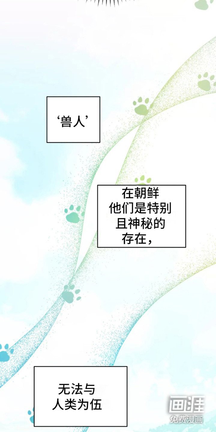 第31章：乱入的老虎：很可怕