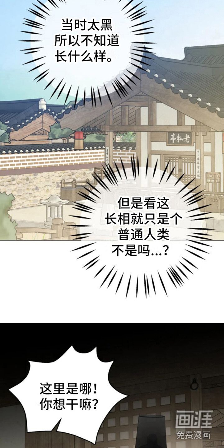 第32章：乱入的老虎：好奇