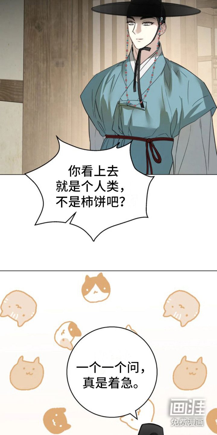 第32章：乱入的老虎：好奇