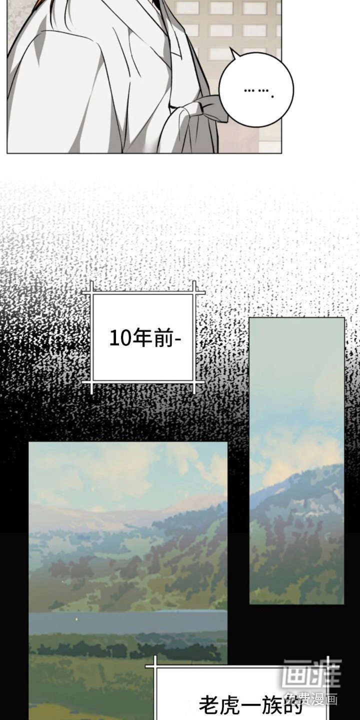 第33章：乱入的老虎：残次品