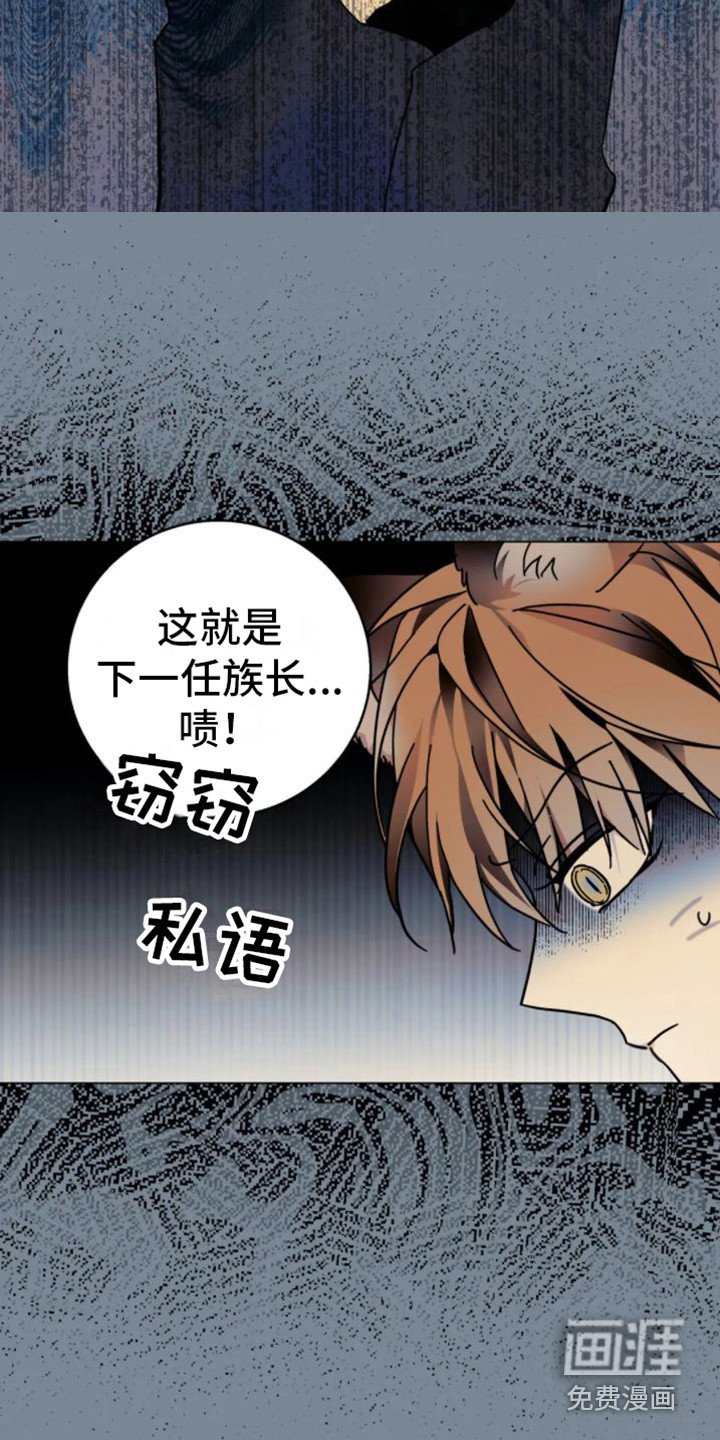 第33章：乱入的老虎：残次品