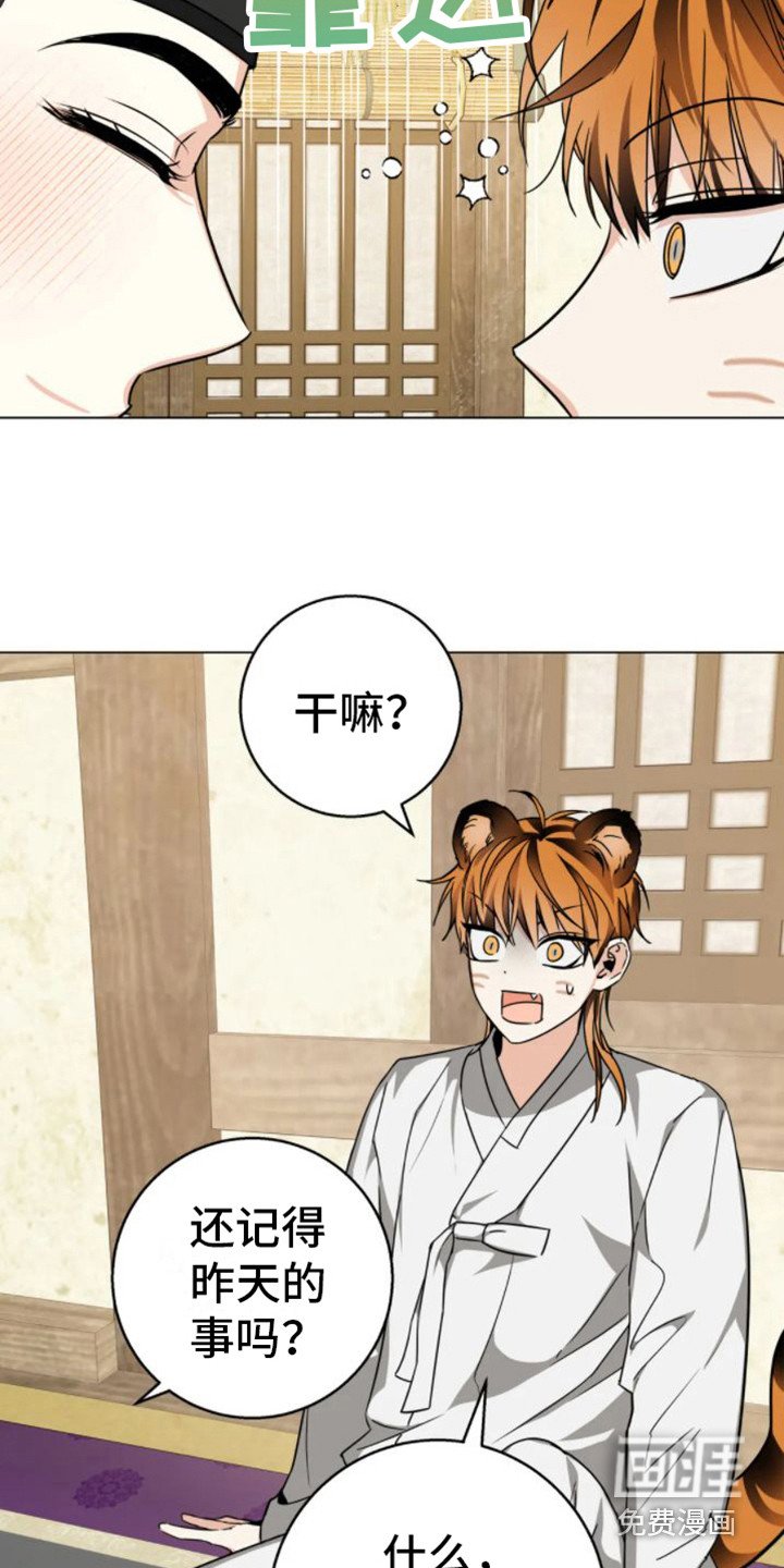 第33章：乱入的老虎：残次品