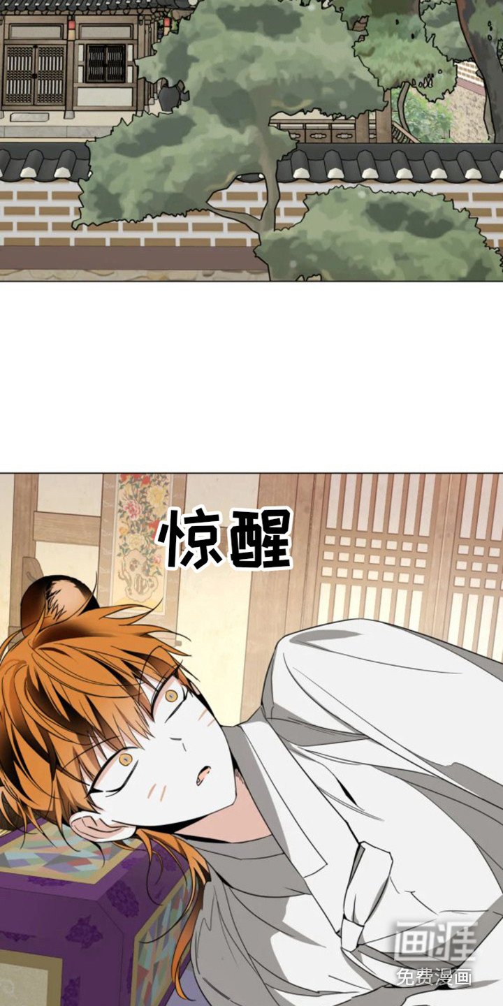 第34章：乱入的老虎：逃跑