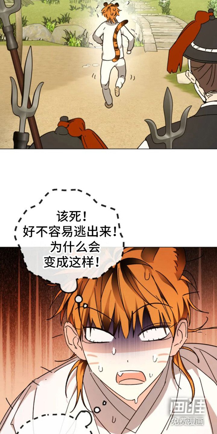 第35章：乱入的老虎：被抓了