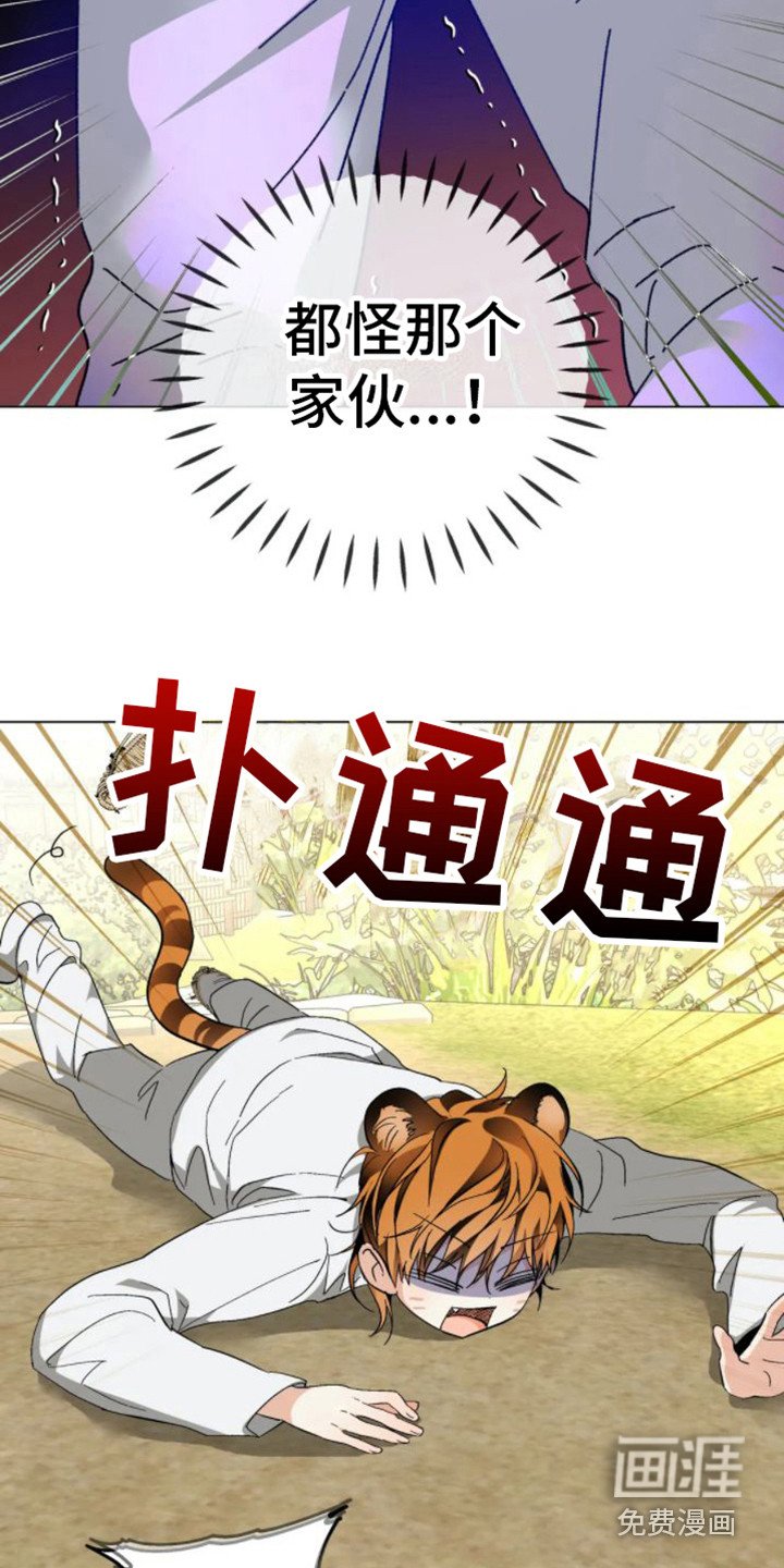 第35章：乱入的老虎：被抓了