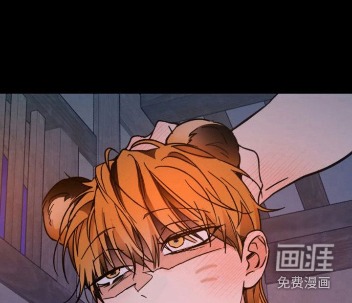 第35章：乱入的老虎：被抓了