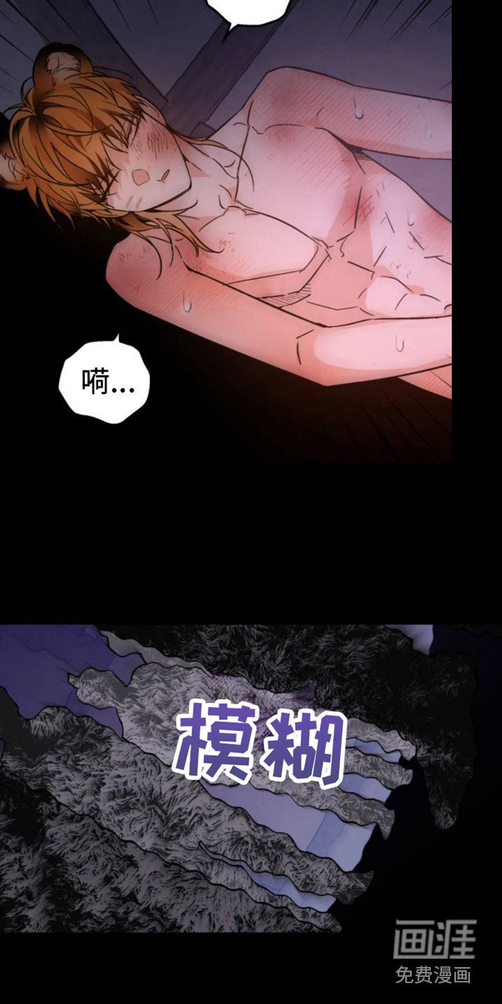 第36章：乱入的老虎：梦