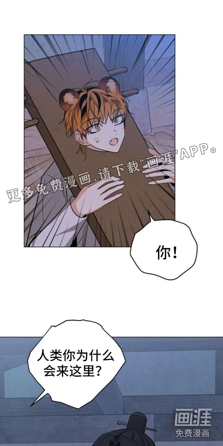 第37章： 乱入的老虎：受伤了