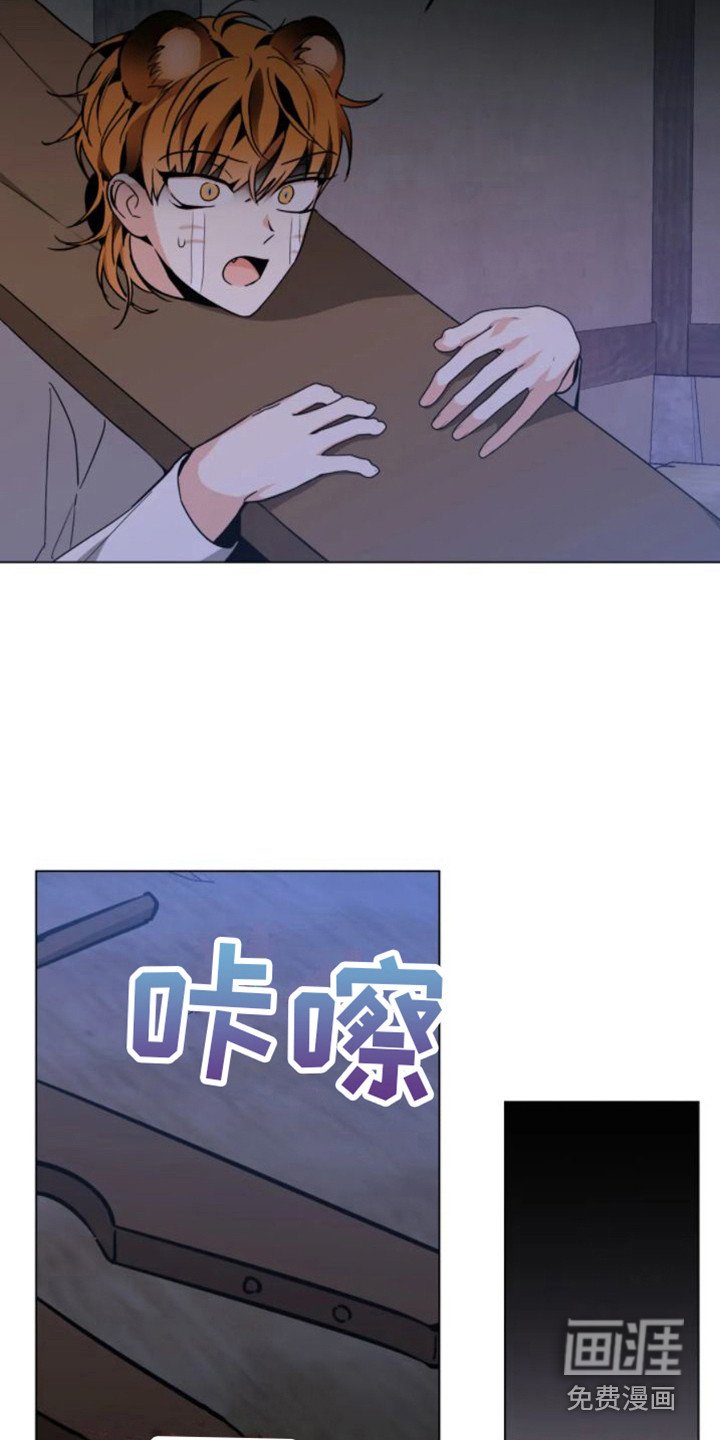 第37章： 乱入的老虎：受伤了
