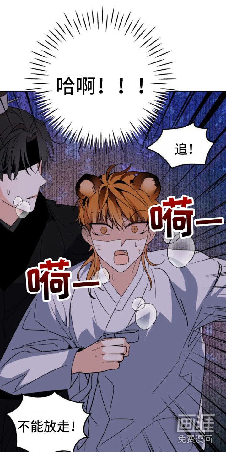 第37章： 乱入的老虎：受伤了