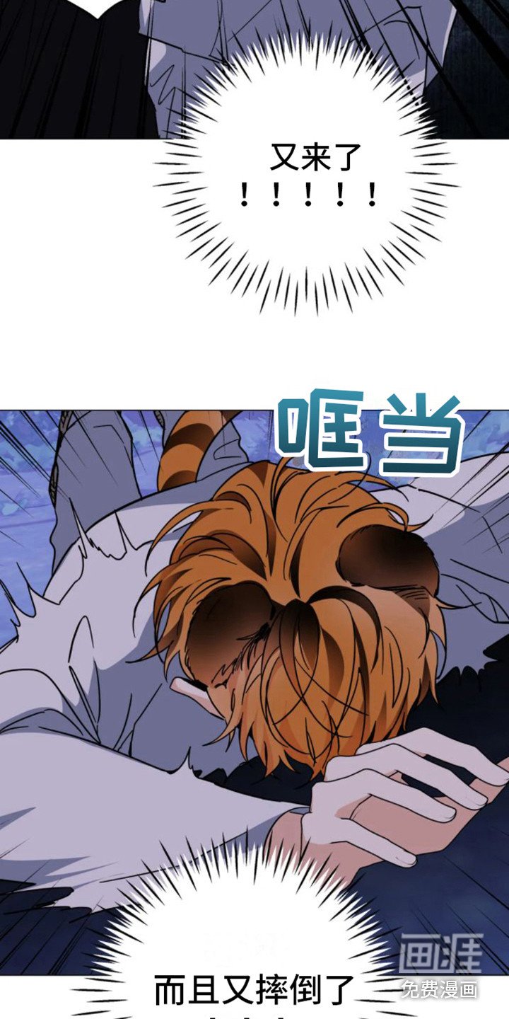 第37章： 乱入的老虎：受伤了