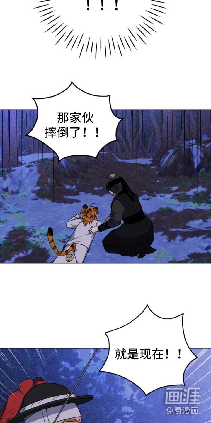 第37章： 乱入的老虎：受伤了
