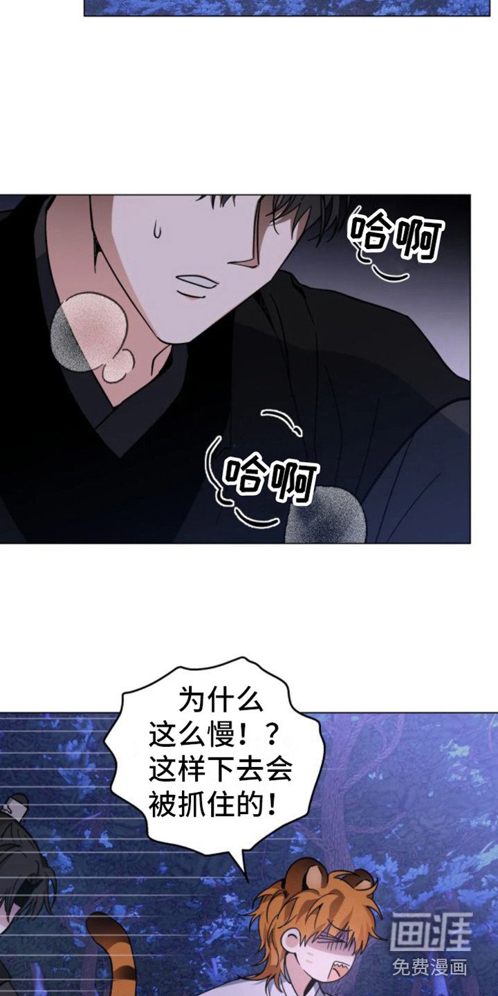 第37章： 乱入的老虎：受伤了