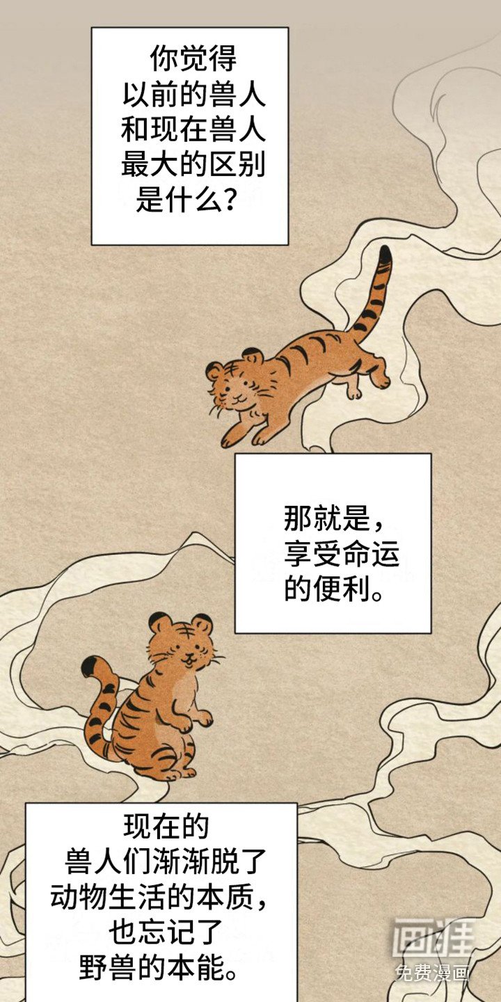 第38章：乱入的老虎：变身