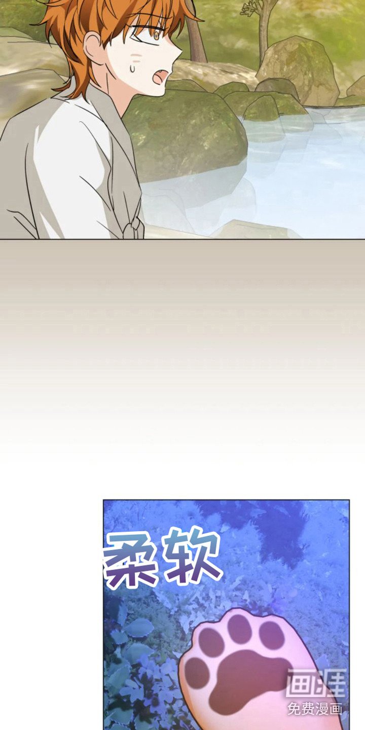 第38章：乱入的老虎：变身