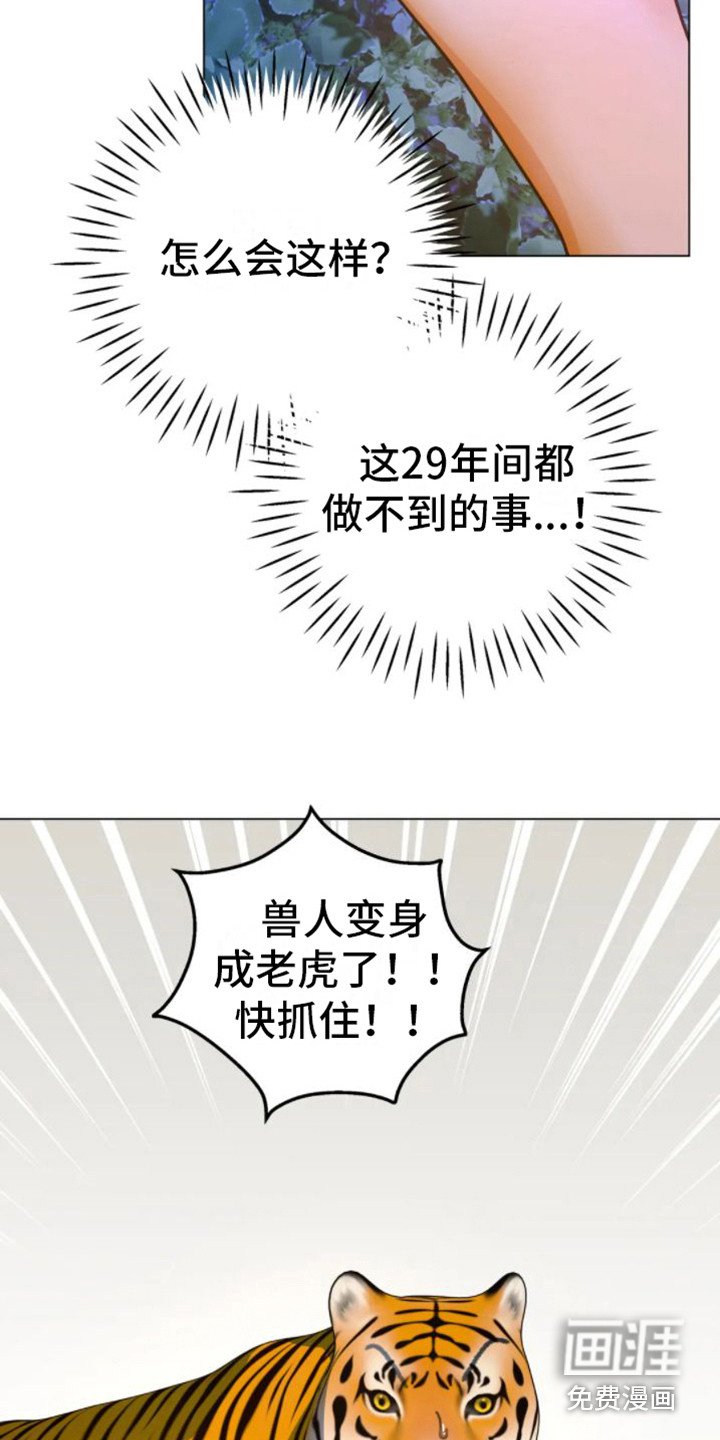 第38章：乱入的老虎：变身
