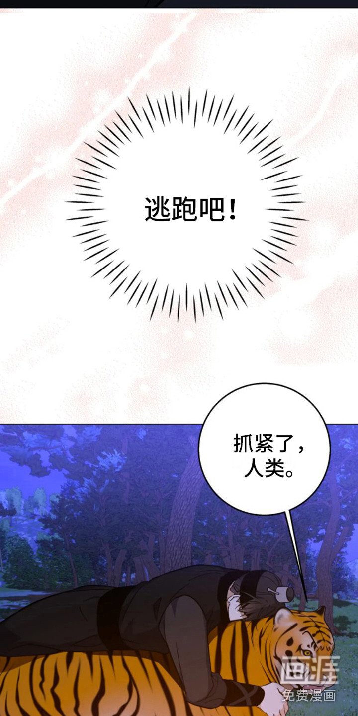 第38章：乱入的老虎：变身
