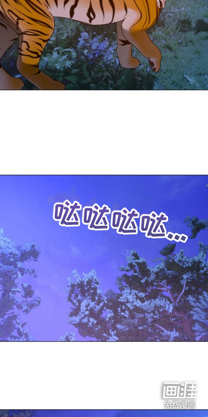 第38章：乱入的老虎：变身