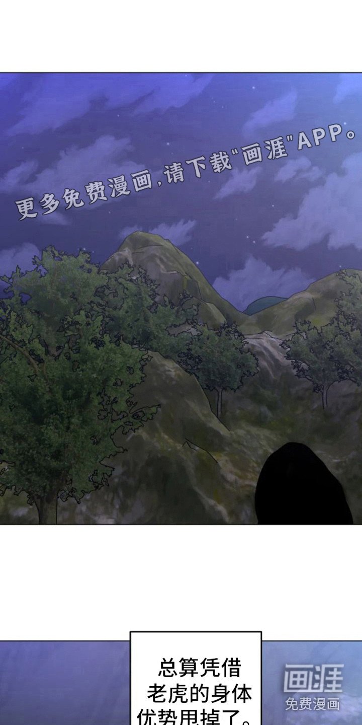第39章：乱入的老虎：笨蛋