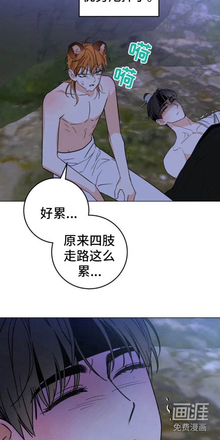 第39章：乱入的老虎：笨蛋
