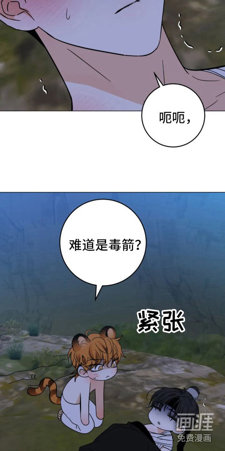 第39章：乱入的老虎：笨蛋