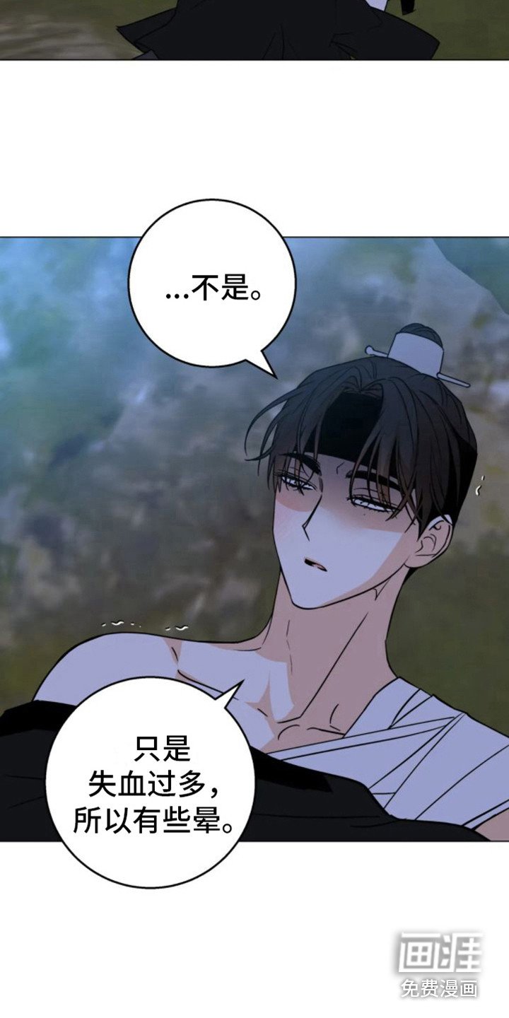 第39章：乱入的老虎：笨蛋