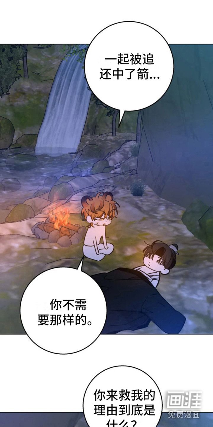 第39章：乱入的老虎：笨蛋