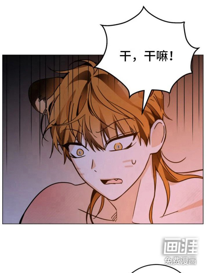 第39章：乱入的老虎：笨蛋
