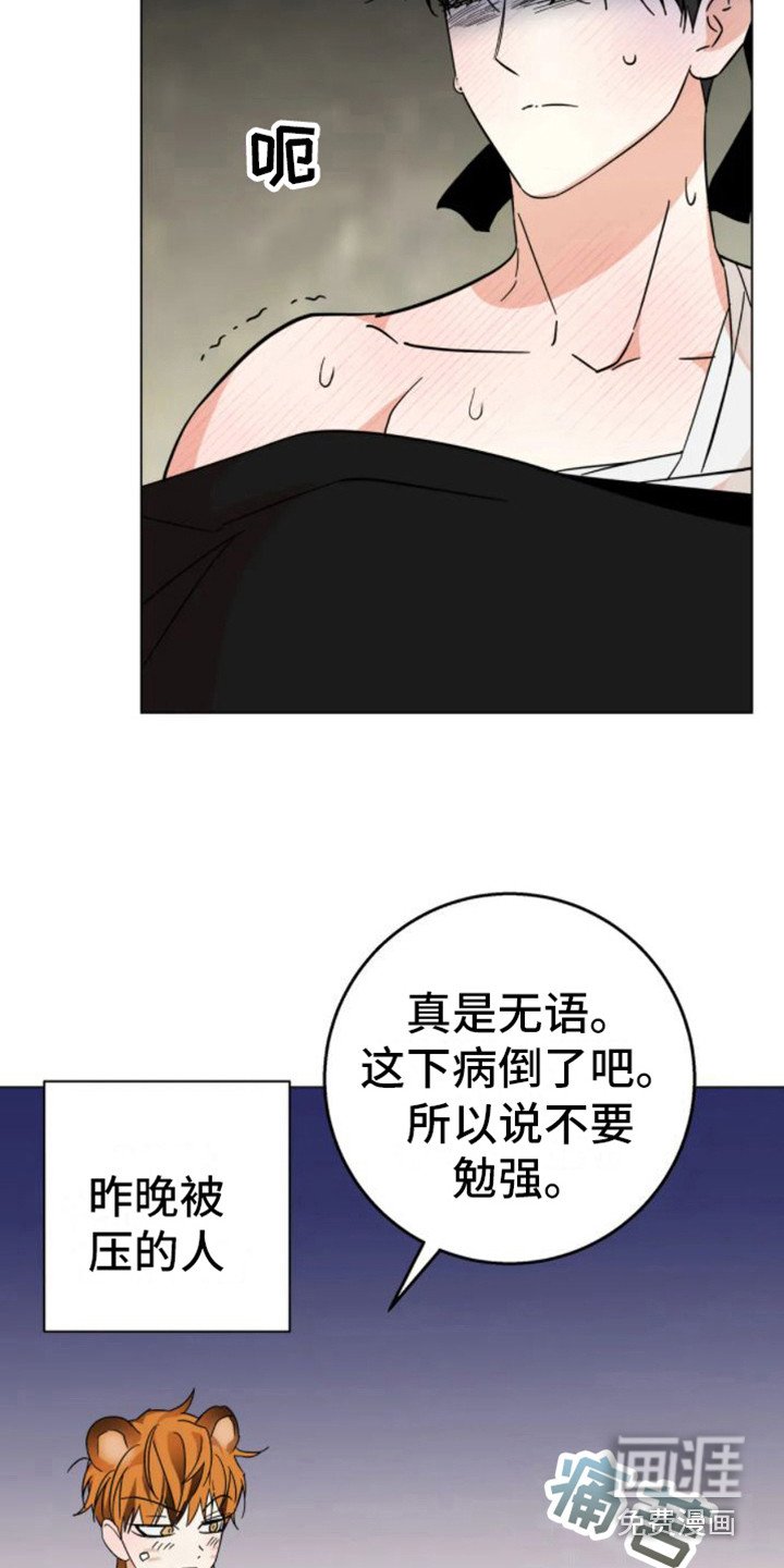 第40章：乱入的老虎：非常甜（完）