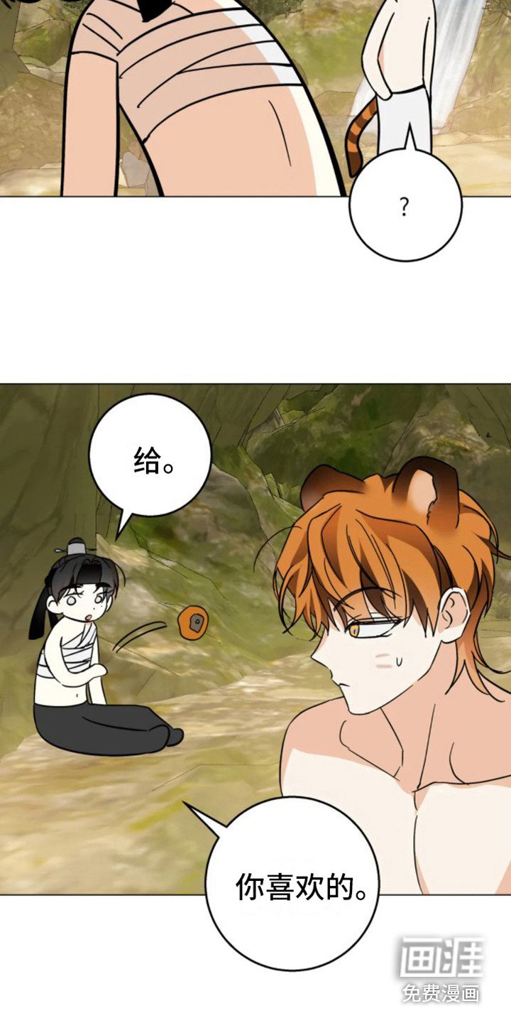第40章：乱入的老虎：非常甜（完）