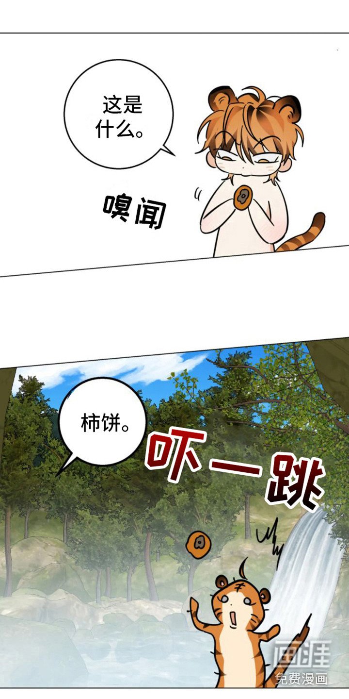 第40章：乱入的老虎：非常甜（完）