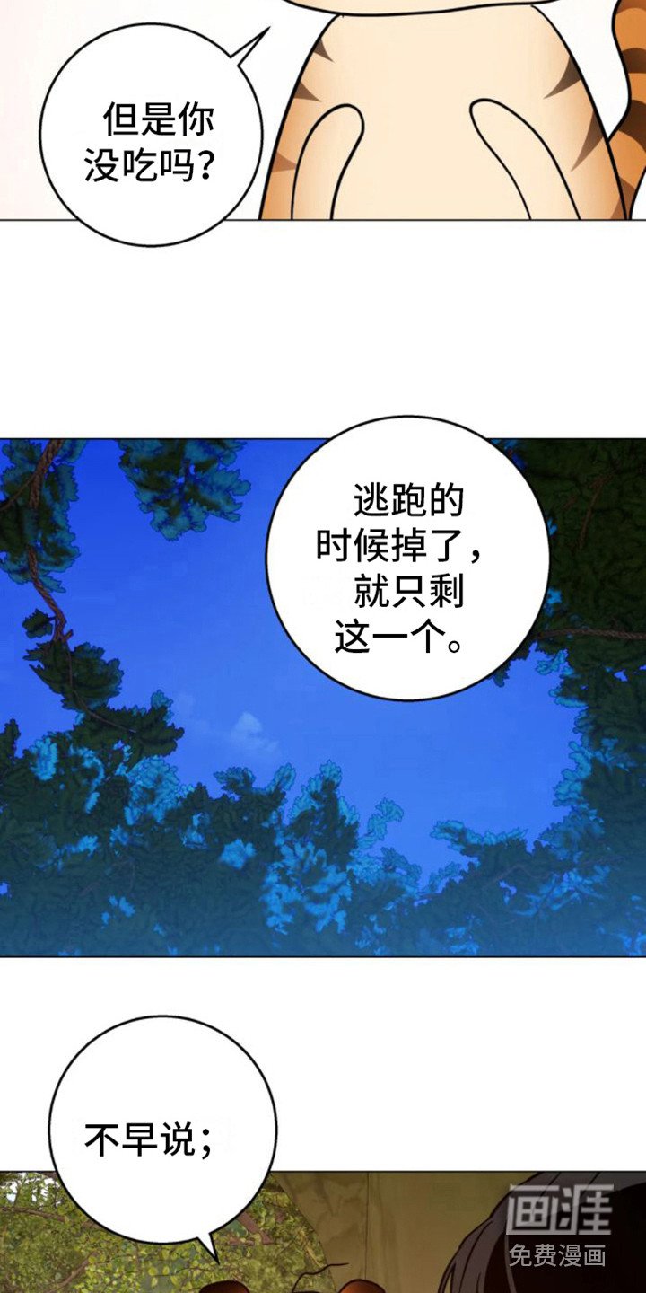 第40章：乱入的老虎：非常甜（完）