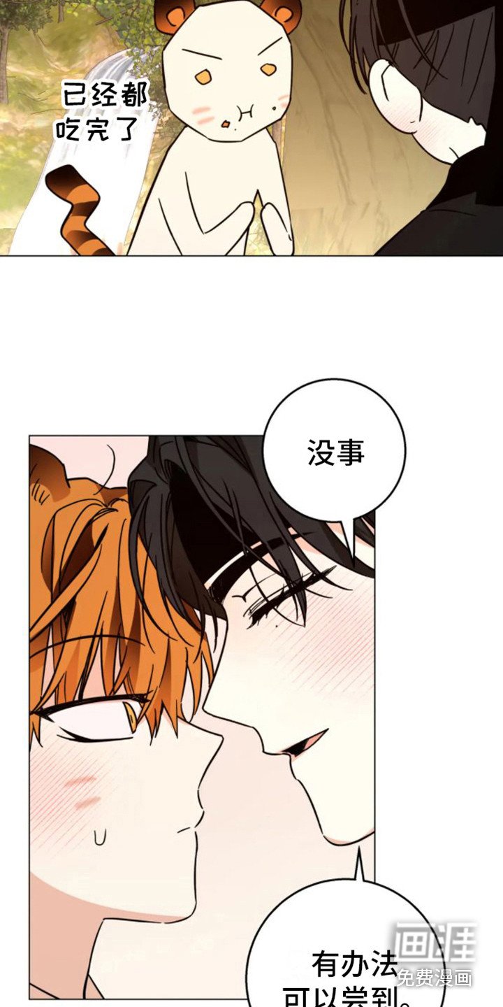 第40章：乱入的老虎：非常甜（完）