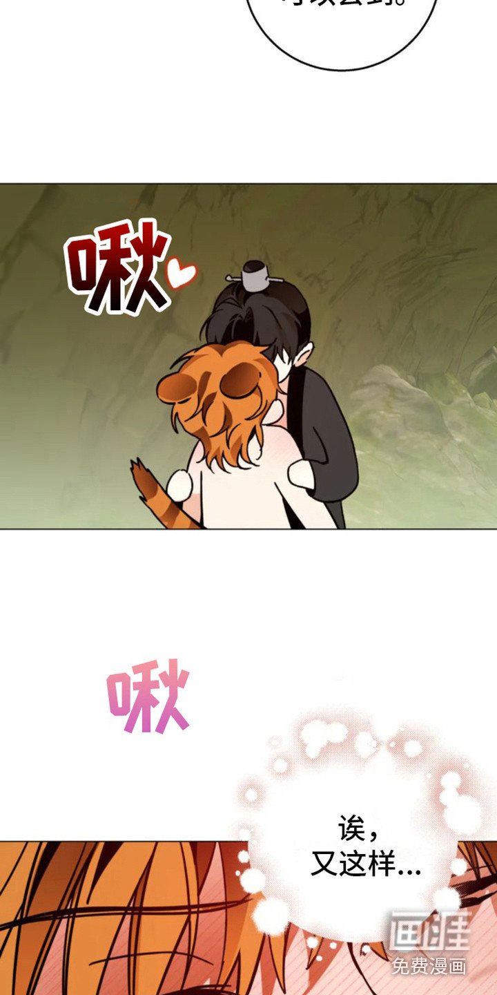 第40章：乱入的老虎：非常甜（完）