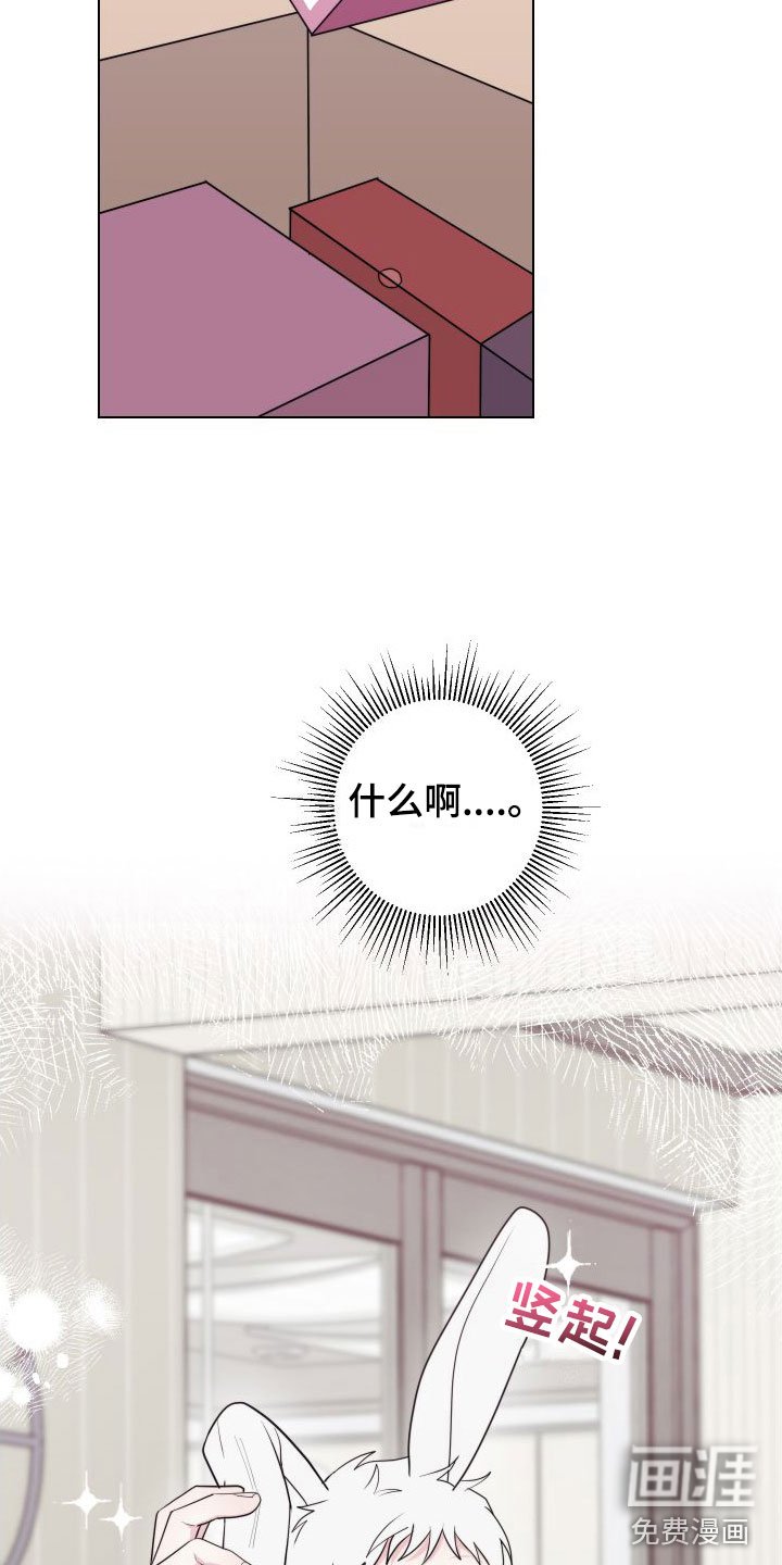 第6章：卡住：兔耳朵