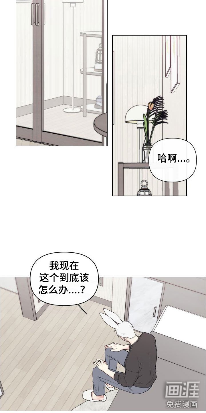 第6章：卡住：兔耳朵