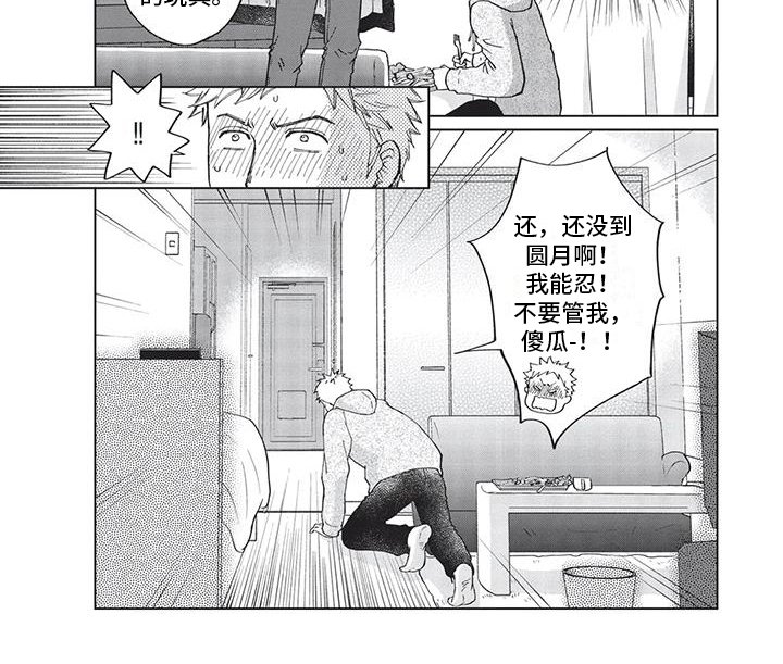 第7章：饭碗