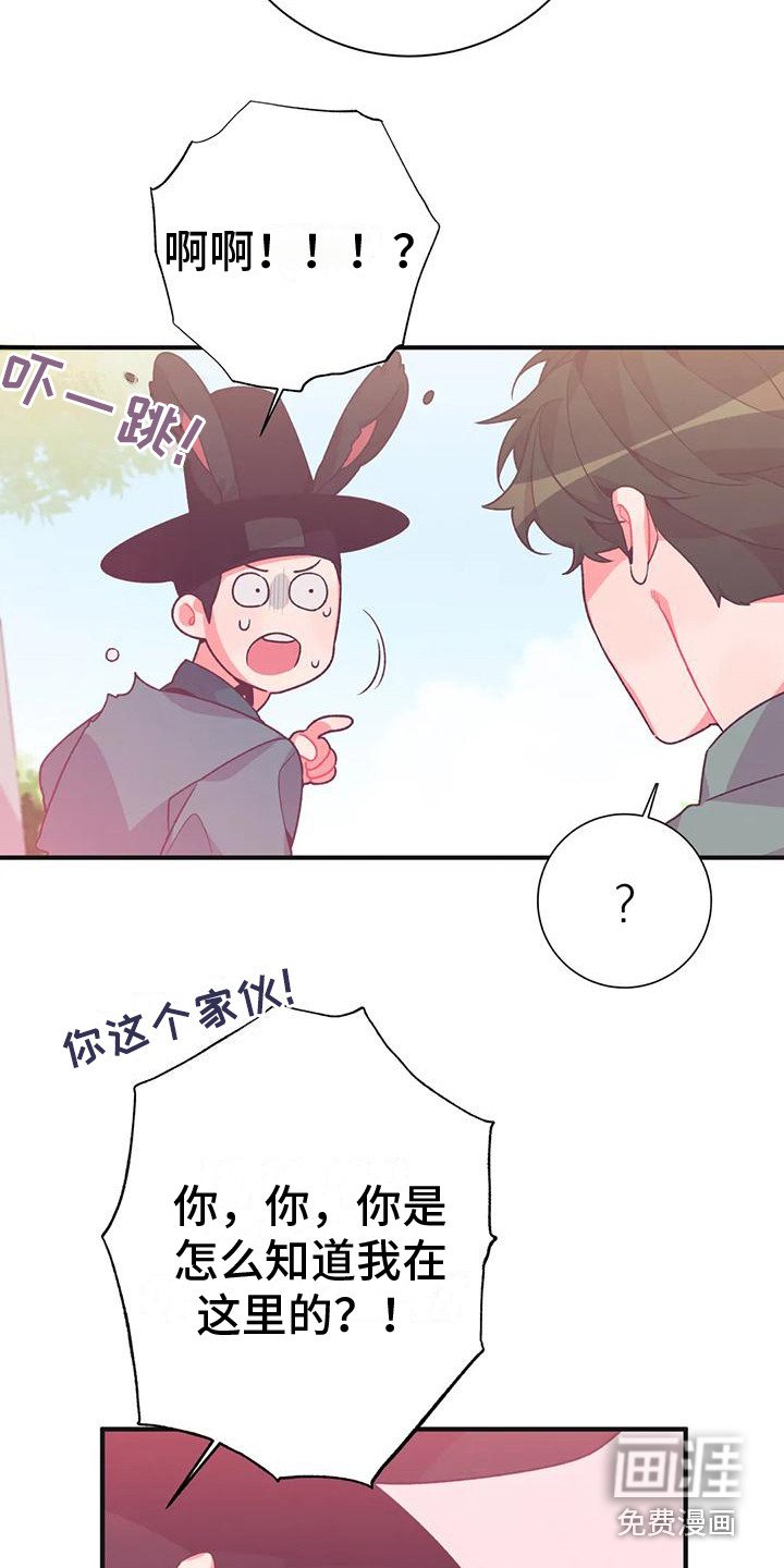 第11章：兔子的处境：拒绝