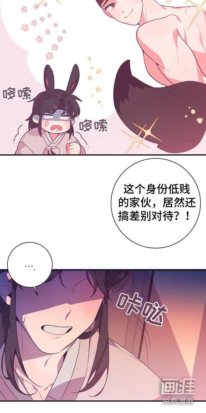 第11章：兔子的处境：拒绝