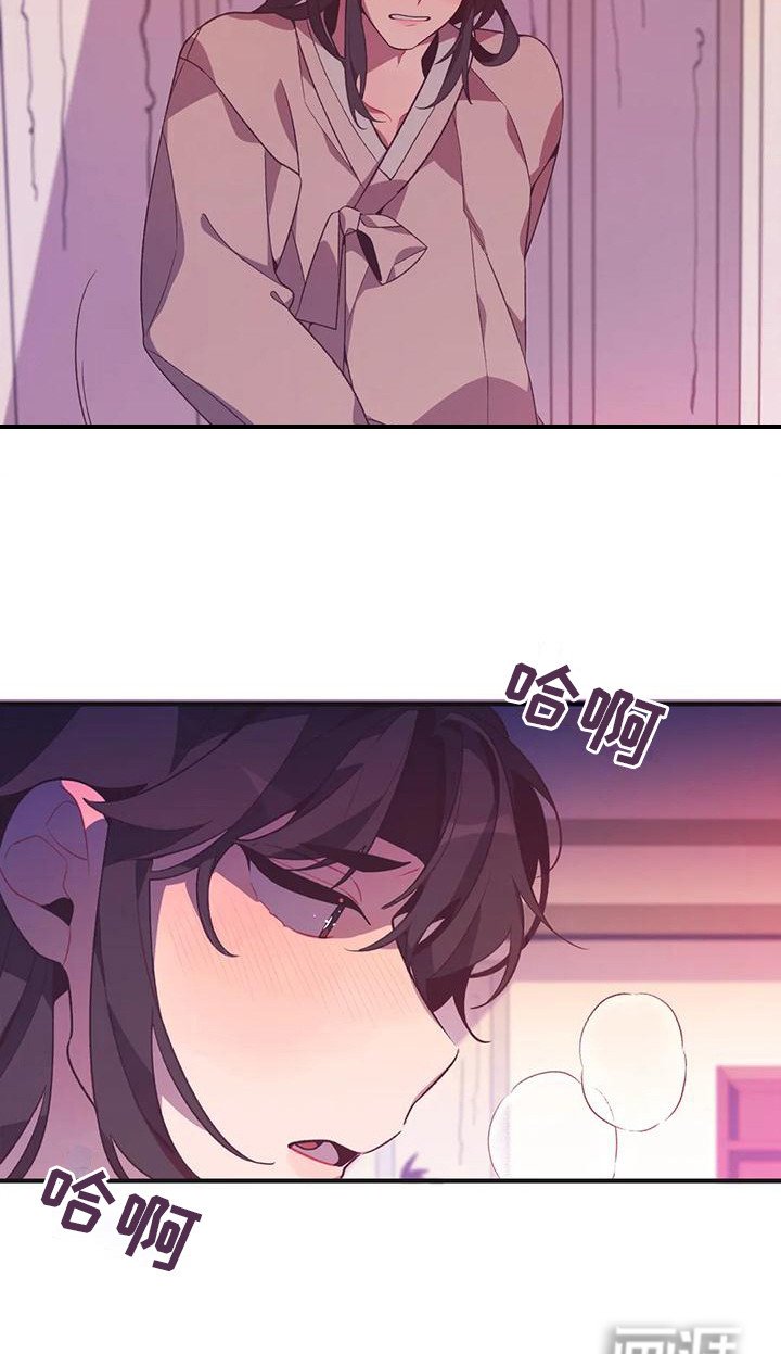 第11章：兔子的处境：拒绝